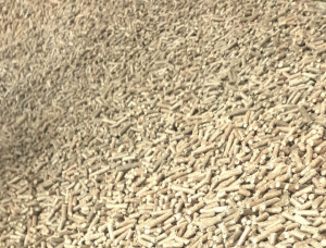 Siberian spruce Wood pellets 6 mm x 30 mm