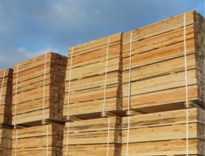 Pine pallet lumber KD 15 mm x 50 mm x 1000 mm