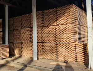 22 mm x 100 mm x 6000 mm 热处理 建築材 云杉 - 松 R/S KD