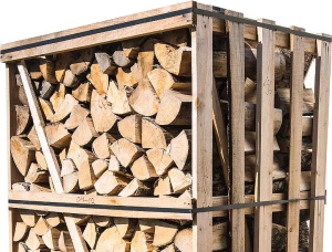 Hornbeam Seasoned Firewood 60 mm x 250 mm