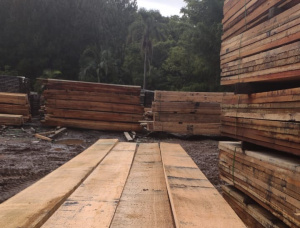 40 mm x 200 mm x 5400 mm AD S4S Heat Treated Eucalyptus Lumber