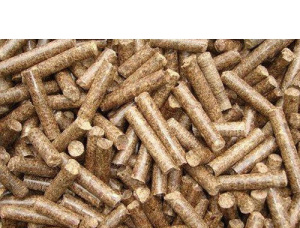 Maple Wood pellets 6 mm x 15 mm