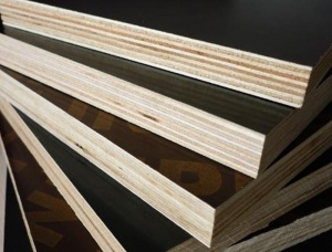 Sanded Eucalyptus Film faced plywood 2440 mm x 1220 mm x 18 mm