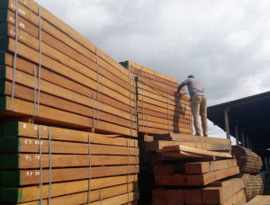 50 mm x 150 mm x 4000 mm AD S4S Pressure Treated Iroko (Mvuli, Kambala, Semli, Rokko) Lumber