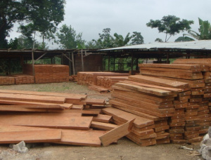 50 mm x 150 mm x 500 mm AD S4S  Bubinga (Kevazingo, Akume) Lumber