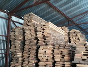 77 mm x 100 mm x 3000 mm 毛邊板 椴树（酸橙树）