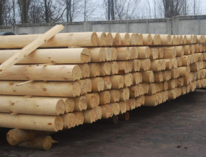 Zylindrisch rundholz Erle 322 mm x 12 m