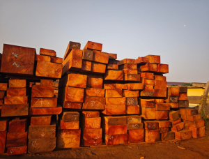 Tali (Missanda, Elune, Muave, Kassa) Square Logs 160 mm x 180 mm x 3000 m