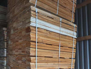 Aspen (Populus tremula) Pallet timber 18 mm x 90 mm x 11 m