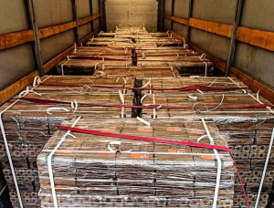 木磚 Pini-Kay 30 mm x 50 mm x 300 mm