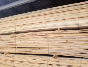 32 mm x 100 mm x 6000 mm  Furring-Streifen Waldkiefer AD