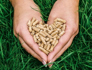 Spruce-Pine (S-P) Wood pellets 6 mm x 10 mm