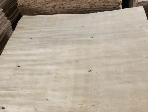 旋切單板 桦木 1500 mm x 1500 mm x 2 mm