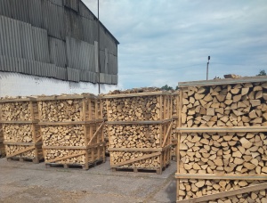 Hornbeam Seasoned Firewood 60 mm x 250 mm
