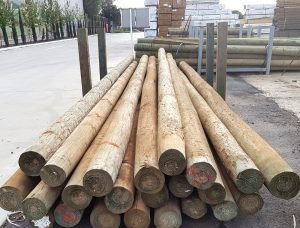 Radiata Pine Poles 300 mm x 15 m