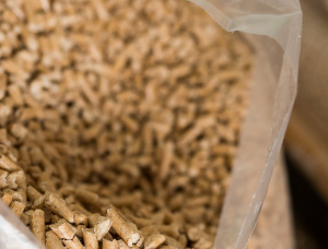 Beech Wood pellets 6 mm x 30 mm