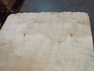 Downy Birch Rotary Cut Veneer 1600 mm x 1600 mm x 1.5 mm