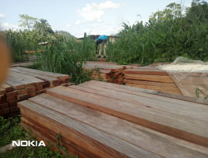 70 mm x 150 mm x 3100 mm AD S4S  Tali (Missanda, Elune, Muave, Kassa) Lumber