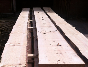 50 mm x 300 mm x 6000 mm Pine Flitch