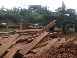 50 mm x 150 mm x 500 mm AD S4S  Bubinga (Kevazingo, Akume) Lumber