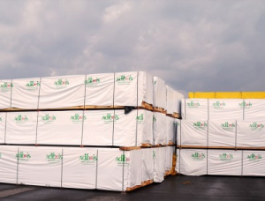 30 mm x 150 mm x 6000 mm Pine Lumber