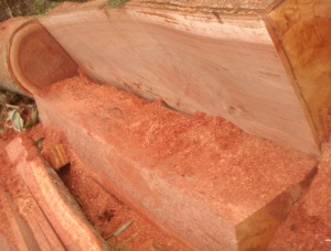 80 mm x 120 mm x 2500 mm AD S4S  Bubinga (Kevazingo, Akume) Lumber