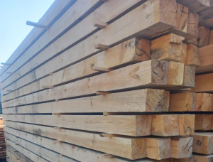 100 mm x 150 mm x 6000 mm GR  Siberian Pine Beam