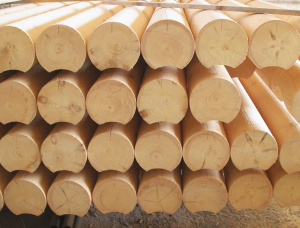 Swiss pine Rounded beam 280 mm x 4 m