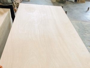 Sanded Eucalyptus Exterior Plywood 2440 mm x 1220 mm x 8 mm