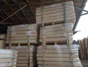 Aspe 1300 mm x 24 mm