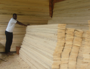 100 mm x 150 mm x 300 mm AD S4S  African Pencil Cedar Lumber