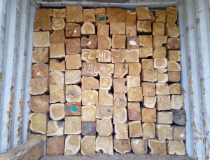 Teak Square Logs 100 mm x 150 mm x 6 m