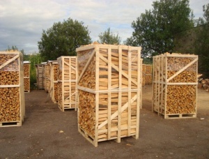 Hornbeam Kiln Dried Firewood 50 mm x 300 mm