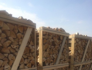 Silver Birch Unseasoned Firewood 100 mm x 250 mm