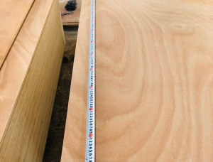 Sanded Eucalyptus Interior Plywood 2440 mm x 1220 mm x 8 mm