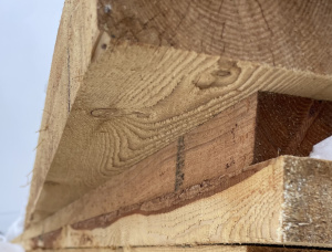 40 mm x 180 mm x 6000 mm  Pine Lumber