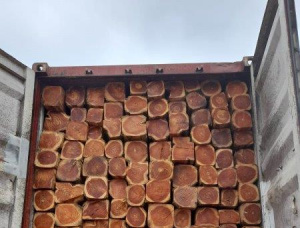 Teak Wood utility poles 450 mm x 2.3 m