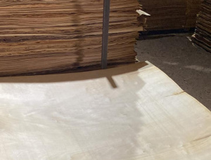 Downy Birch Rotary Cut Veneer 1300 mm x 1300 mm x 1.5 mm