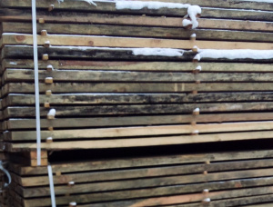 37 mm x 87 mm x 2950 mm GR R/S  Spruce-Pine (S-P) Lumber