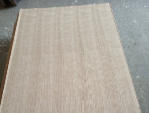 Particle board 19 mm x 600 mm x 2500 mm