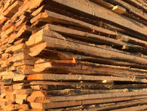 25 mm x 100 mm x 6000 mm Pine Lumber