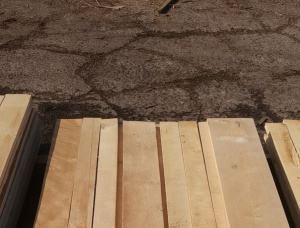25 mm x 100 mm x 2000 mm AD S1S1E Pressure Treated Birch Lumber