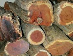 Cypress Unspilt Firewood 100 mm x 100 mm