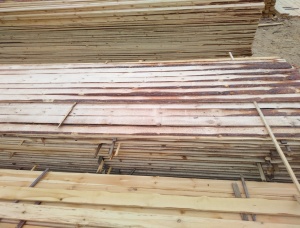 50 mm x 100 mm x 6000 mm AD  Scots Pine Lumber