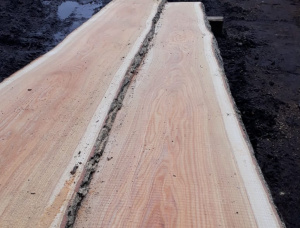 50 mm x 200 mm x 3000 mm Acacia Flitch