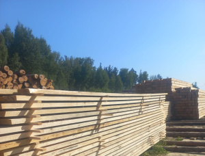 25 mm x 150 mm x 6000 mm GR S4S  Pine Lumber