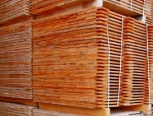 Spruce-Pine-Fir (SPF) Pallet timber 15 mm x 75 mm x 1200 mm