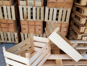 Birch Packaging timber 12 mm x 40 mm x 1500 mm