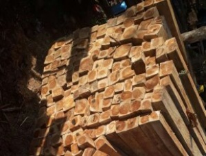 Teak wood Blocks
