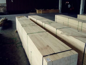 50 mm x 160 mm x 6000 mm Hitzebehandelt Eingefasstes Brett Robinie (Falsche Akazie) S2S AD